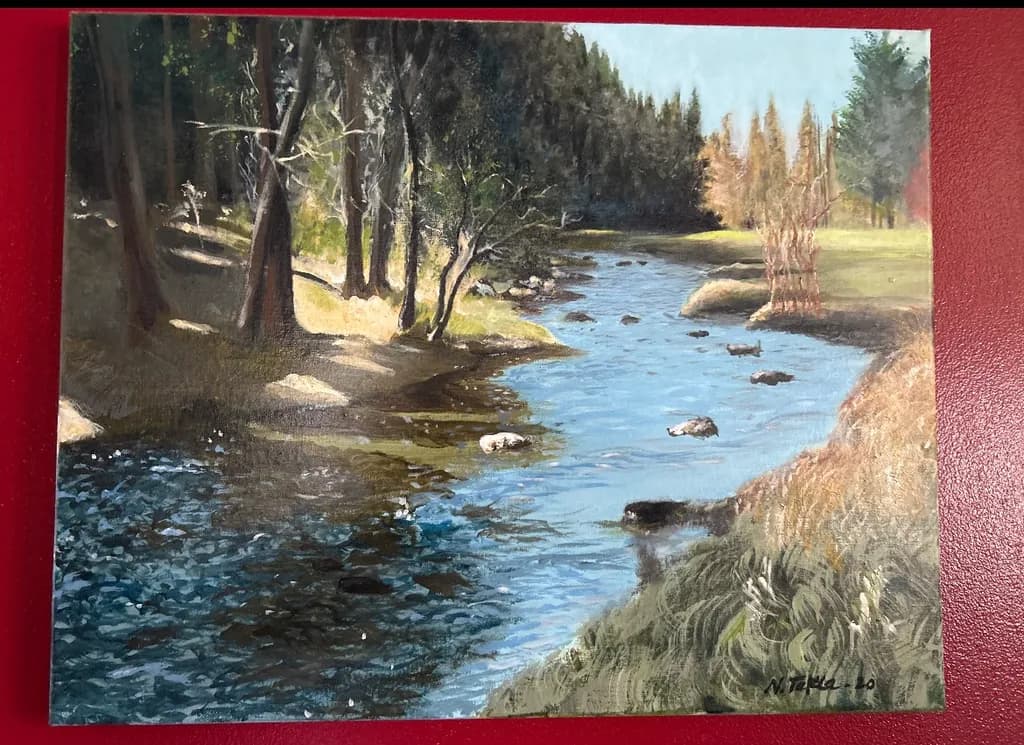 Sunlit Forest Stream