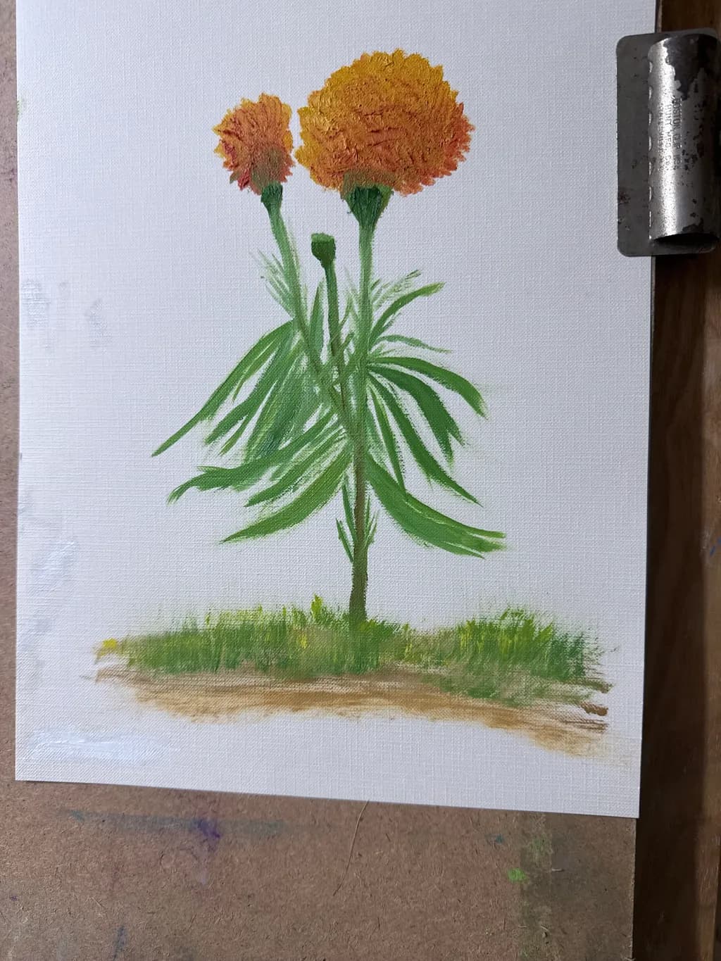 Marigold Bloom
