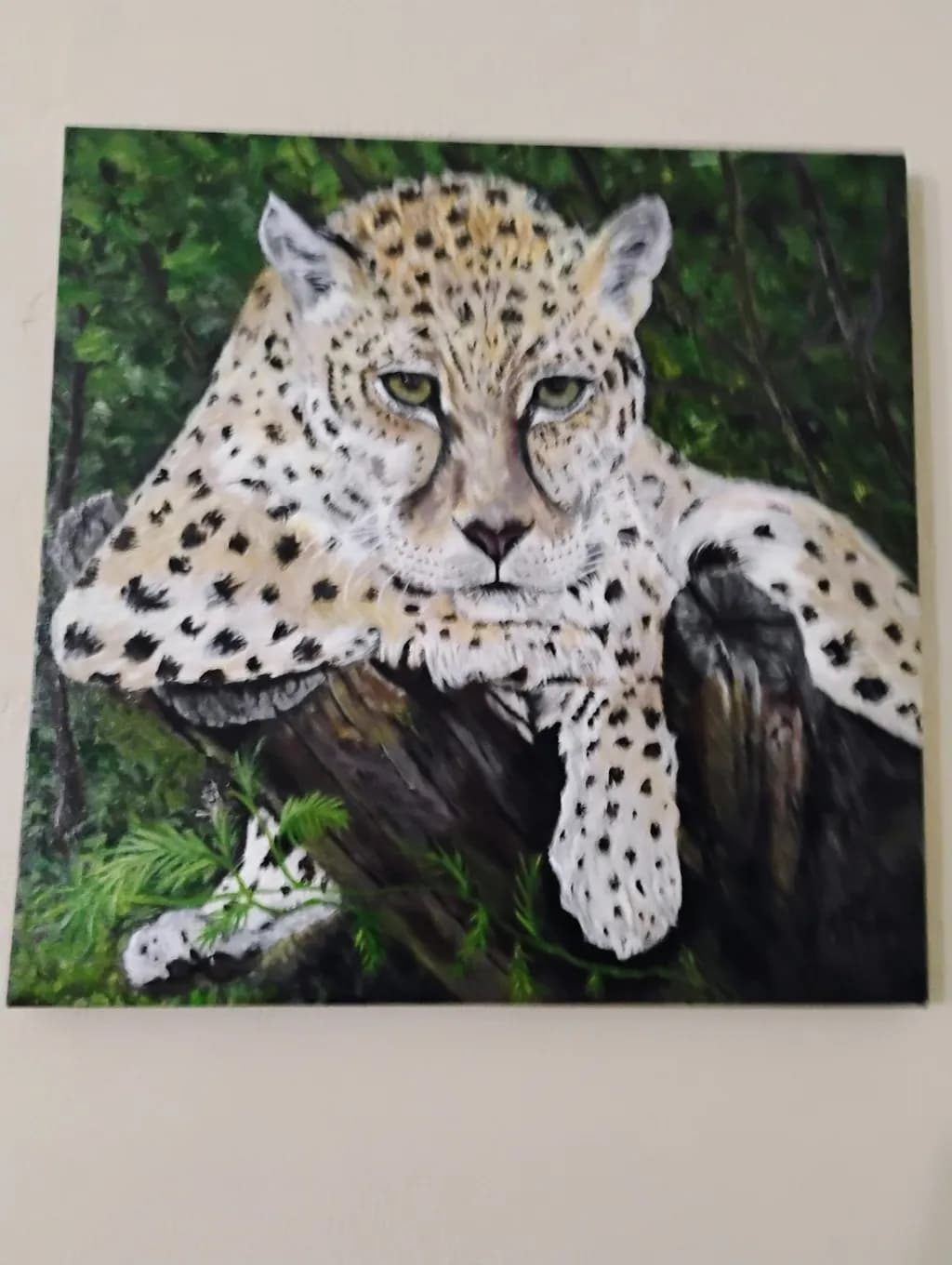 Lounging Cheetah