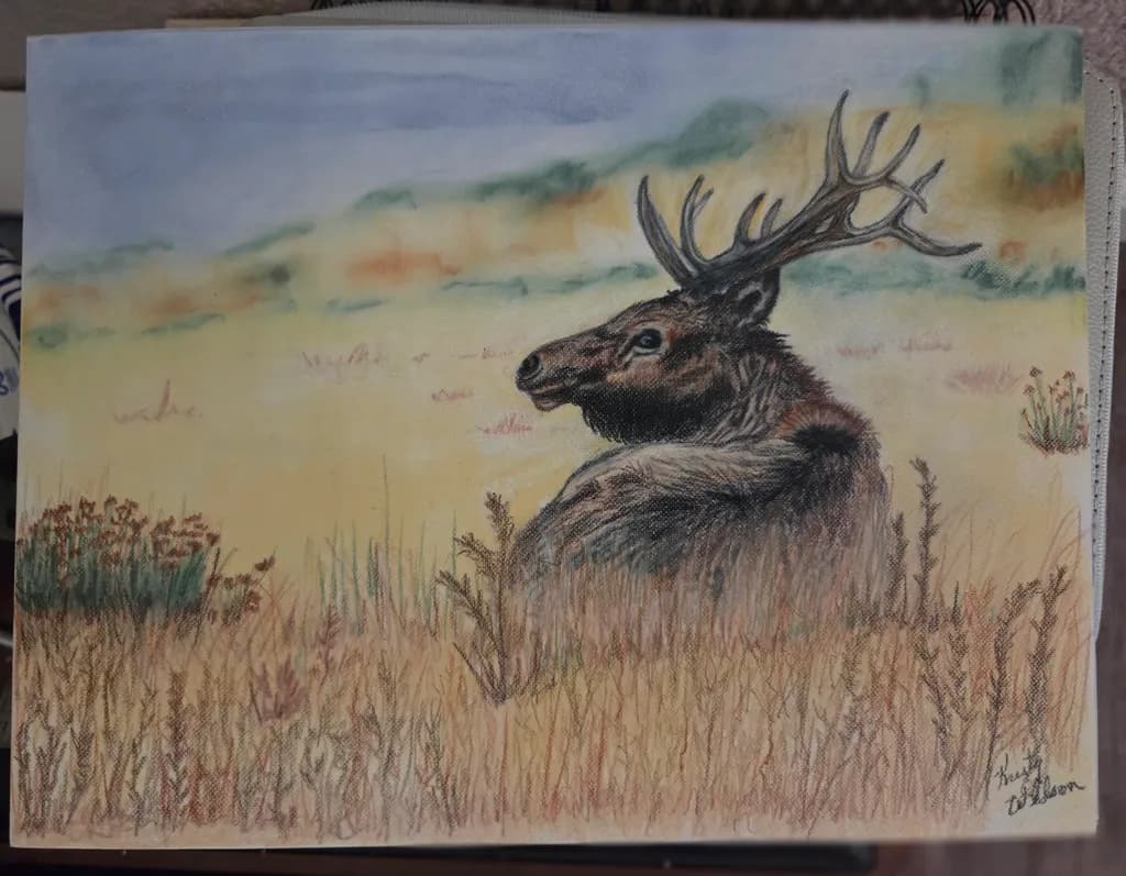 Elk in Meadow