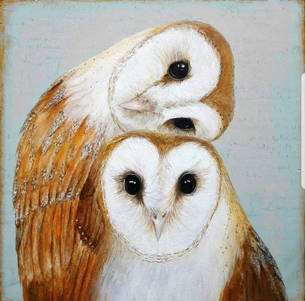 Barn Owls Embrace