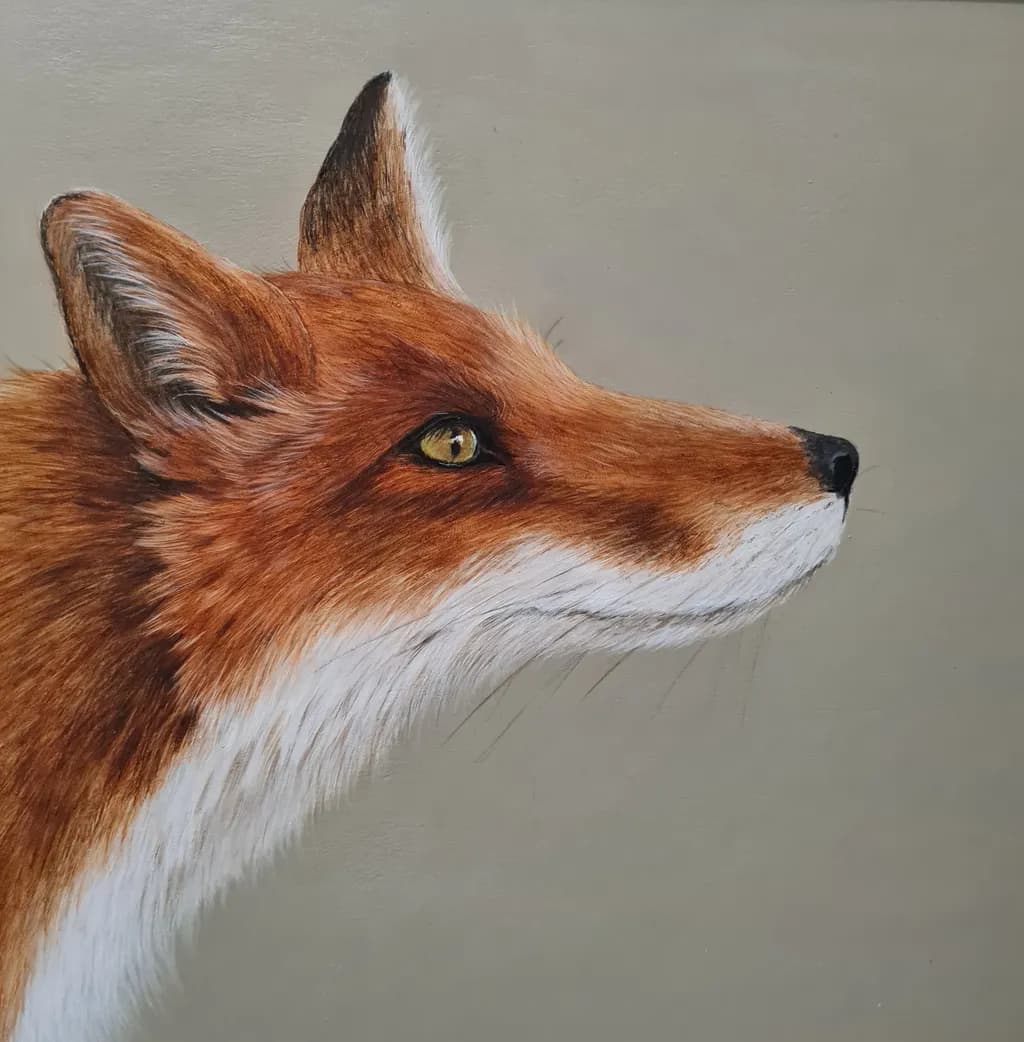Fox Profile Portrait