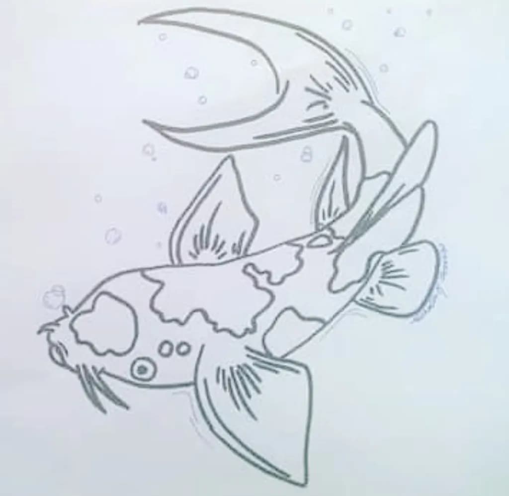 Koi Swim