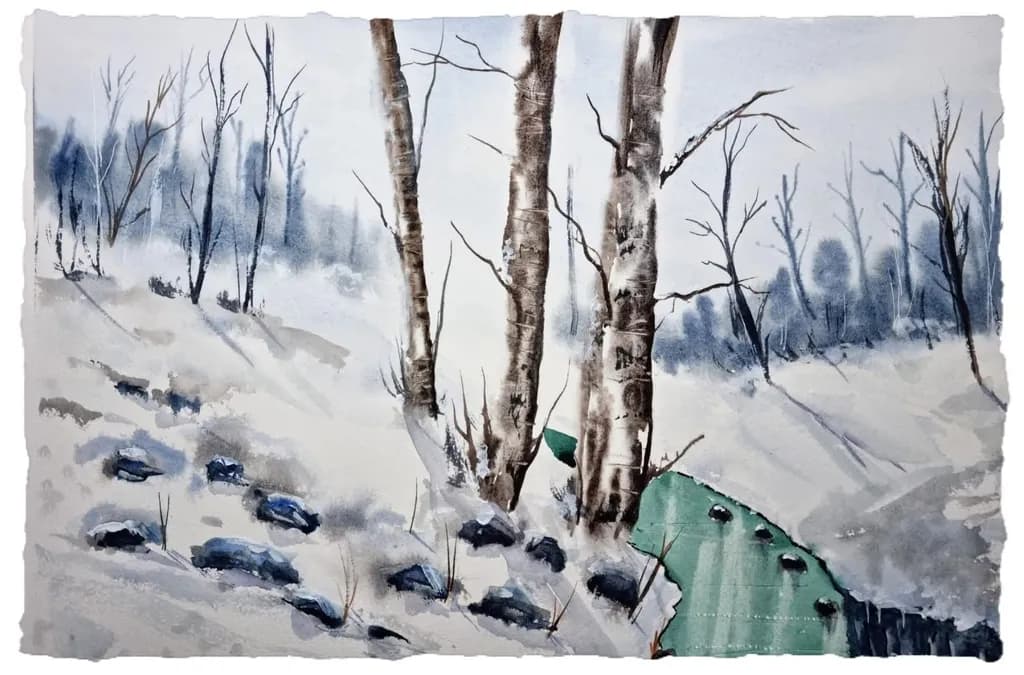 Winter Forest Stream