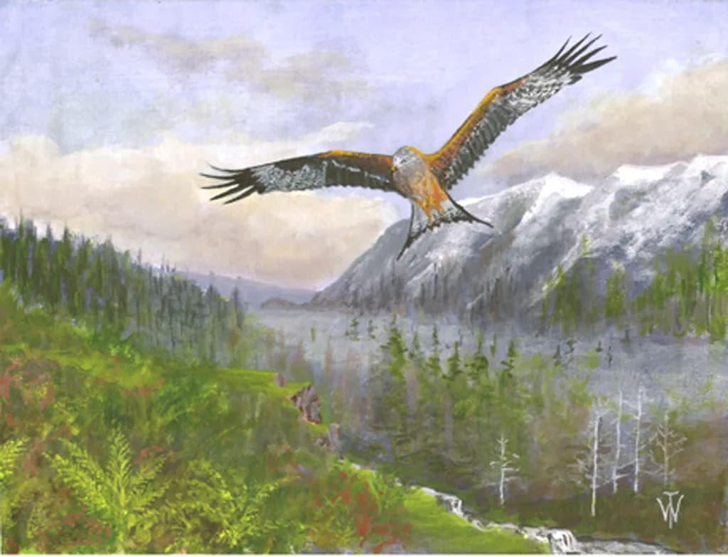 Red Kite Flight