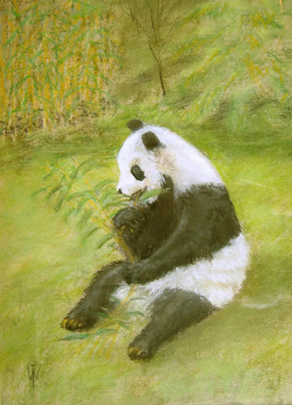 Panda with Bamboo