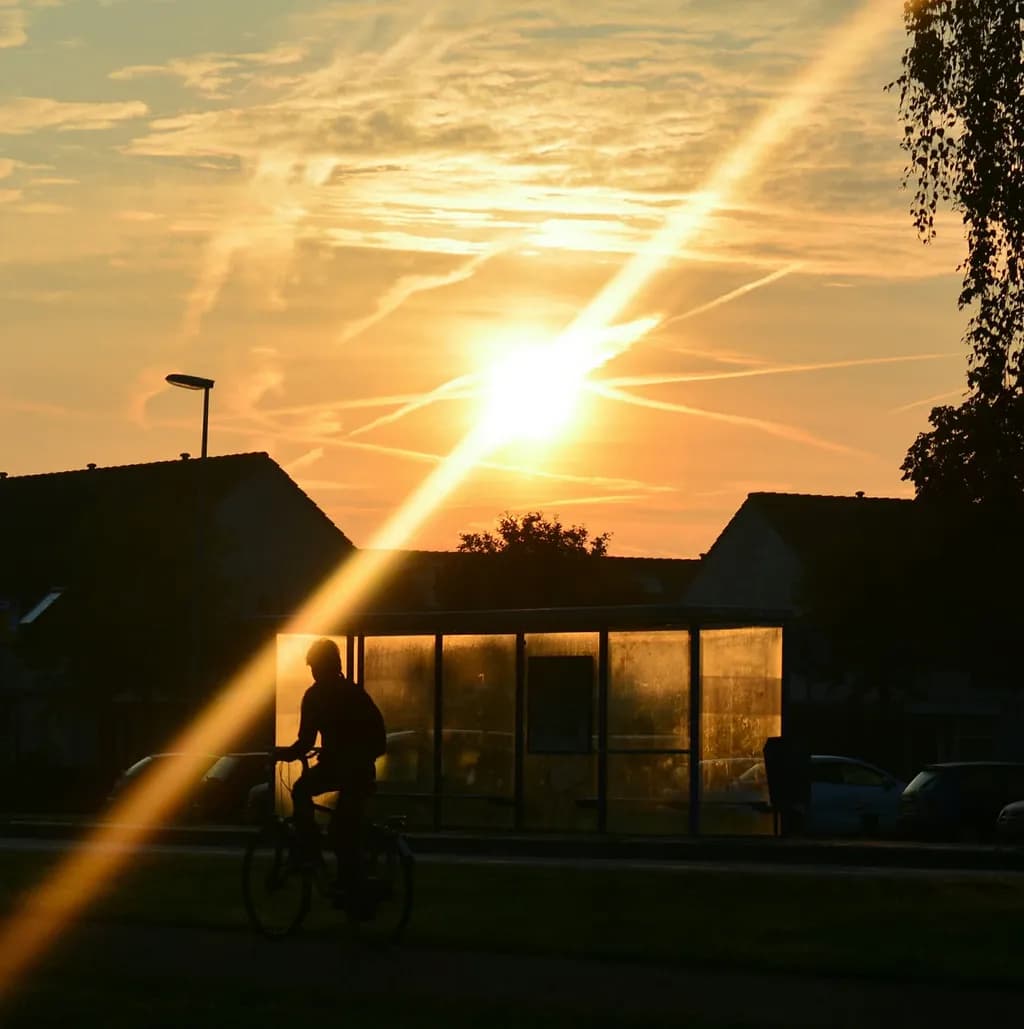 Sunset Bicycle Silhouette