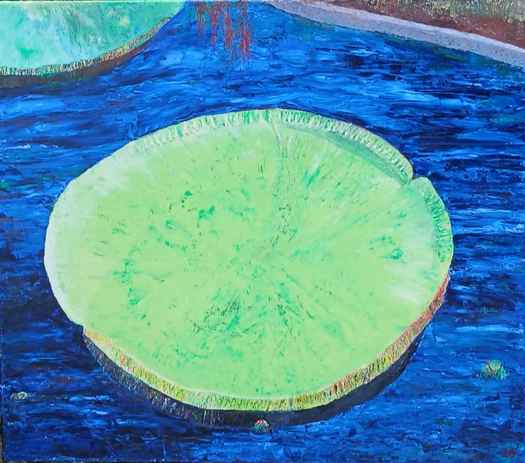 Water Lily Pond
