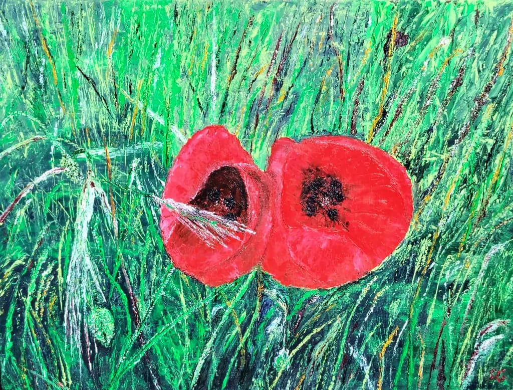 Coquelicot Poppies