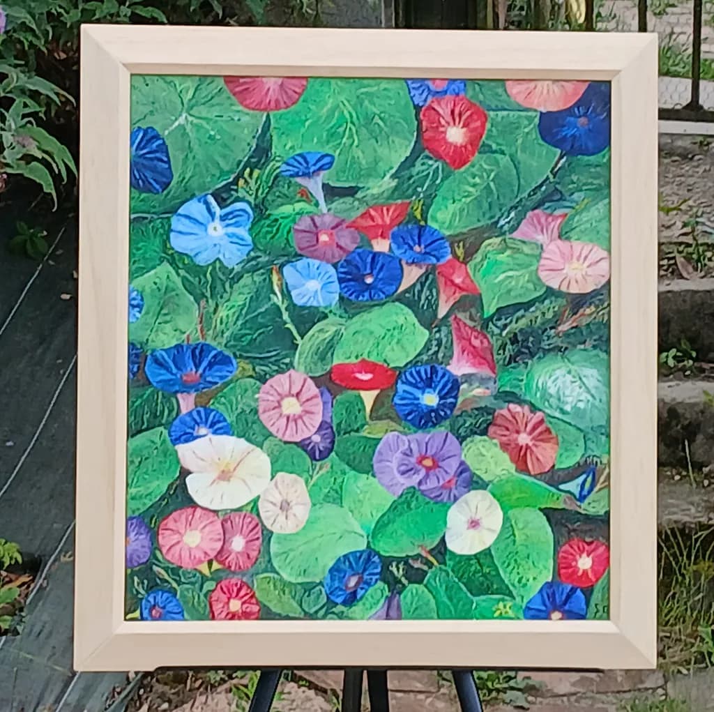 Ipomée Blooms