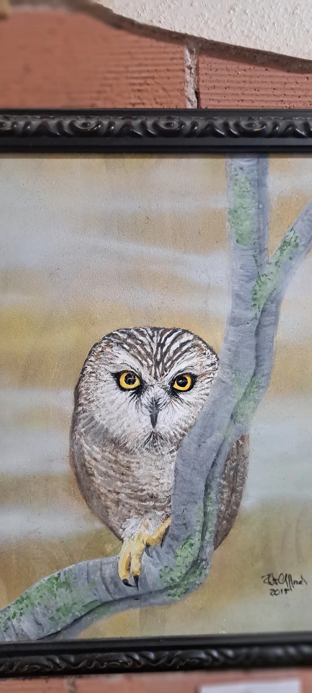 Owl on Branch