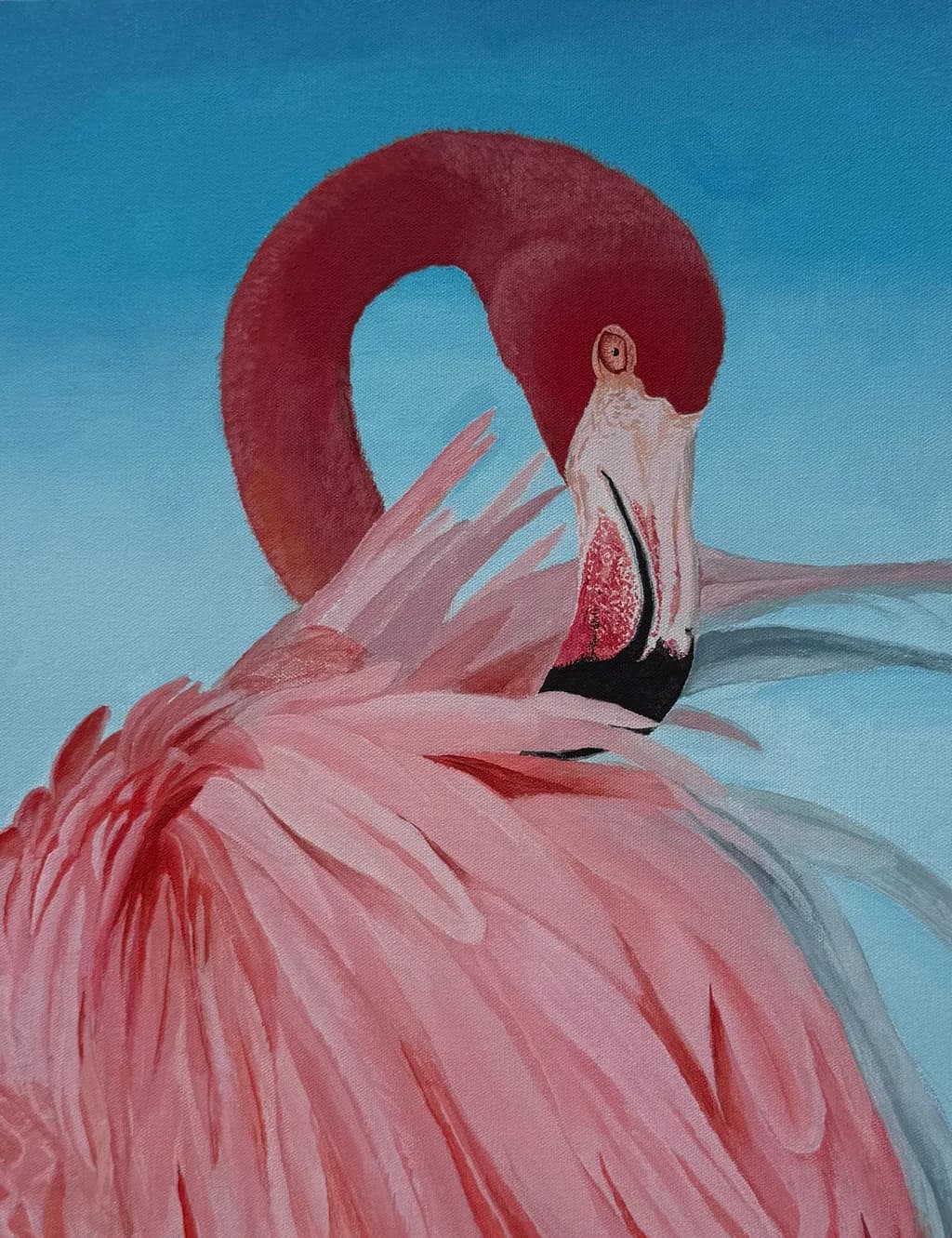 Flamingo Grace