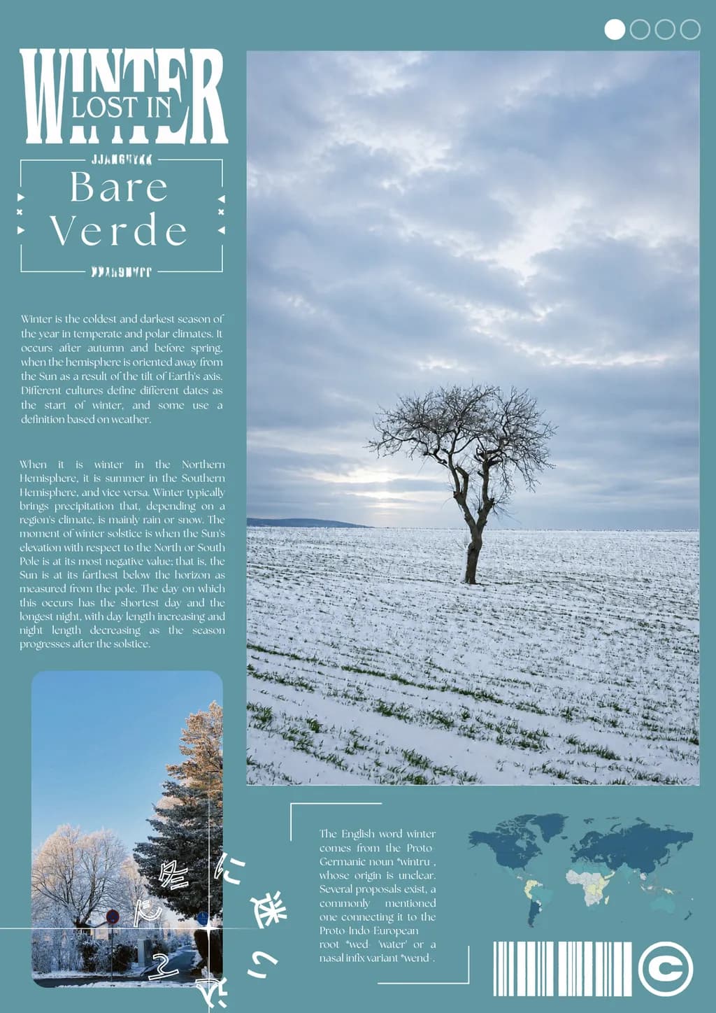 Winter Tree Field