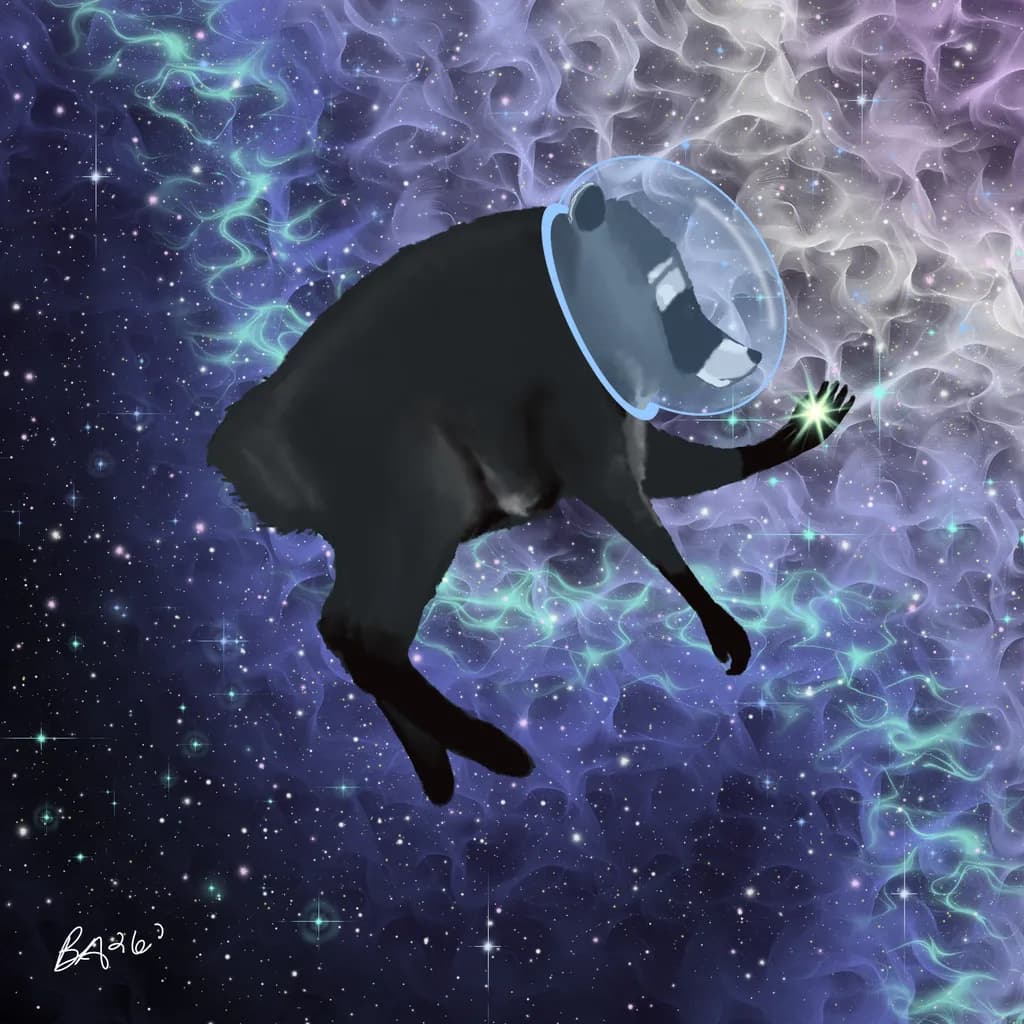 Space Raccoon Exploration
