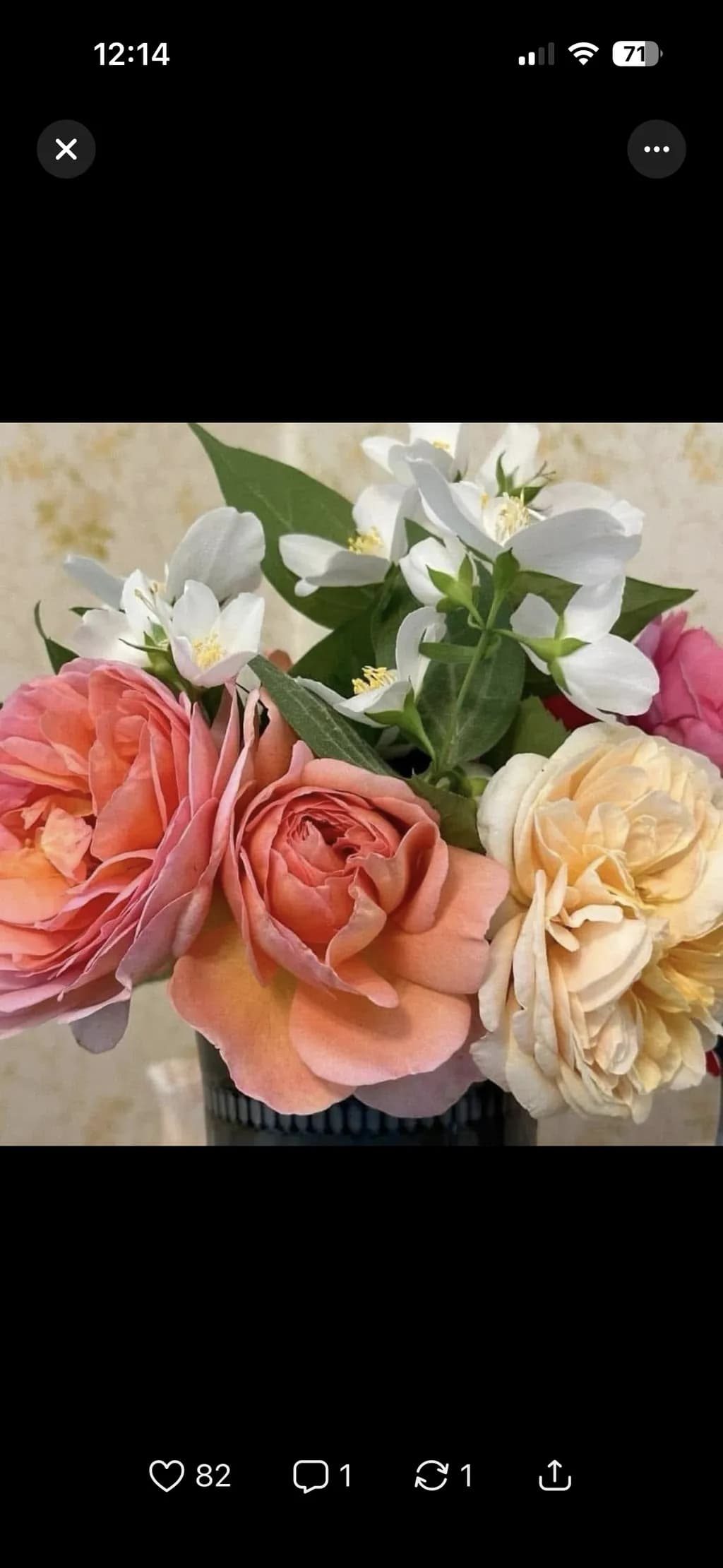 Peach Rose Bouquet