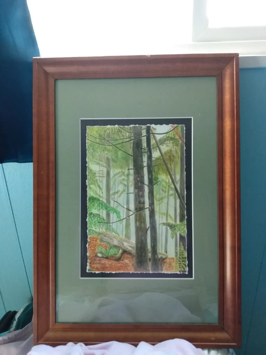 Forest Glade Scene