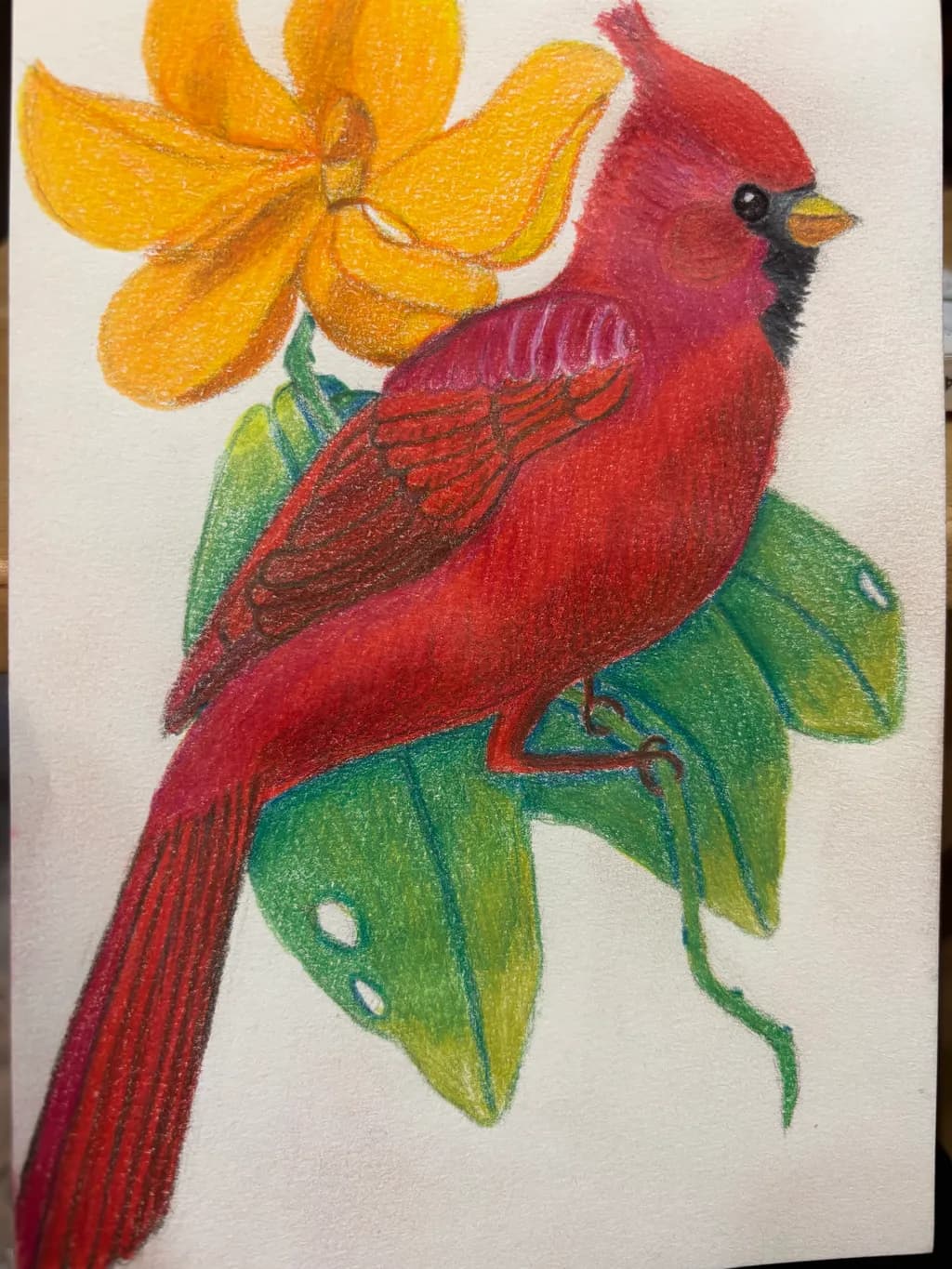 Cardinal and Flower
