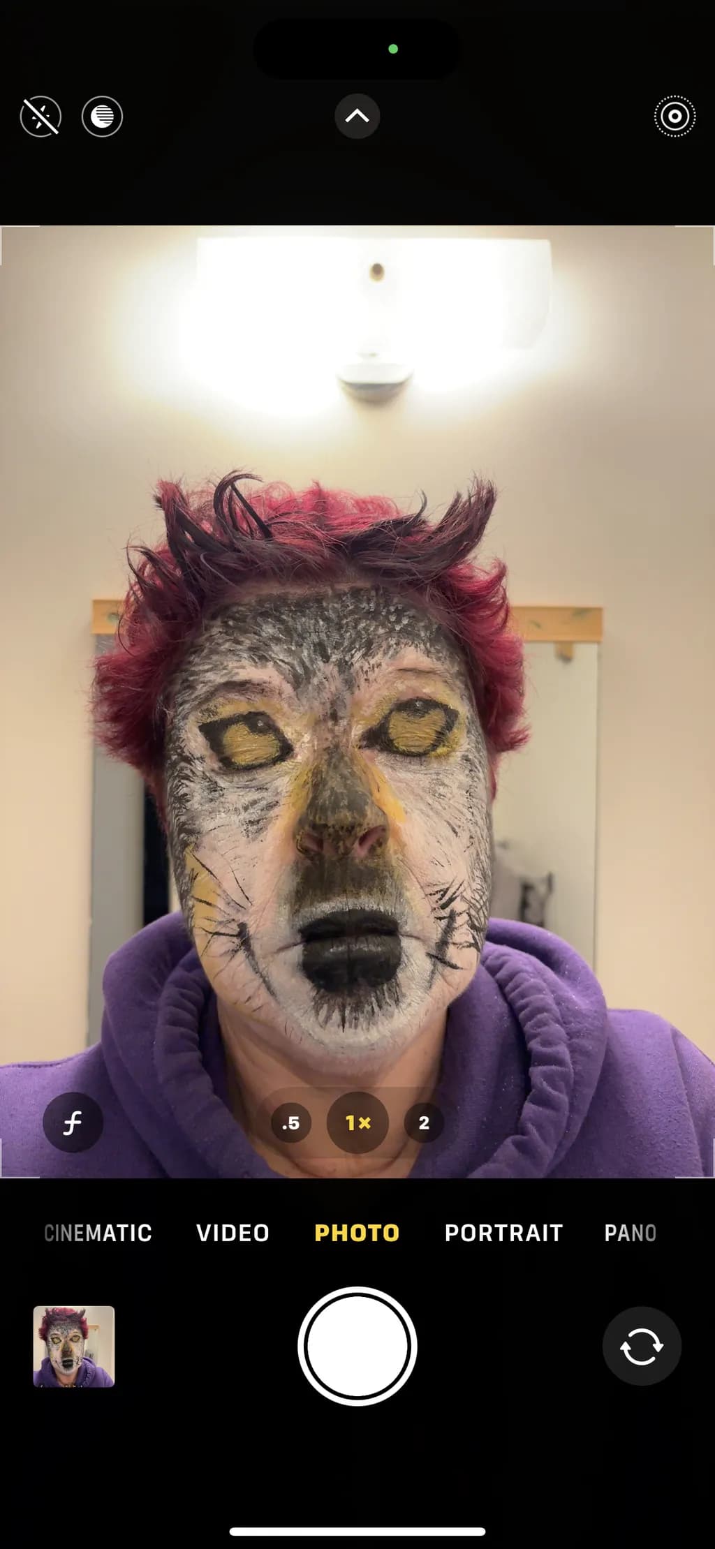 Animal Mask Portrait