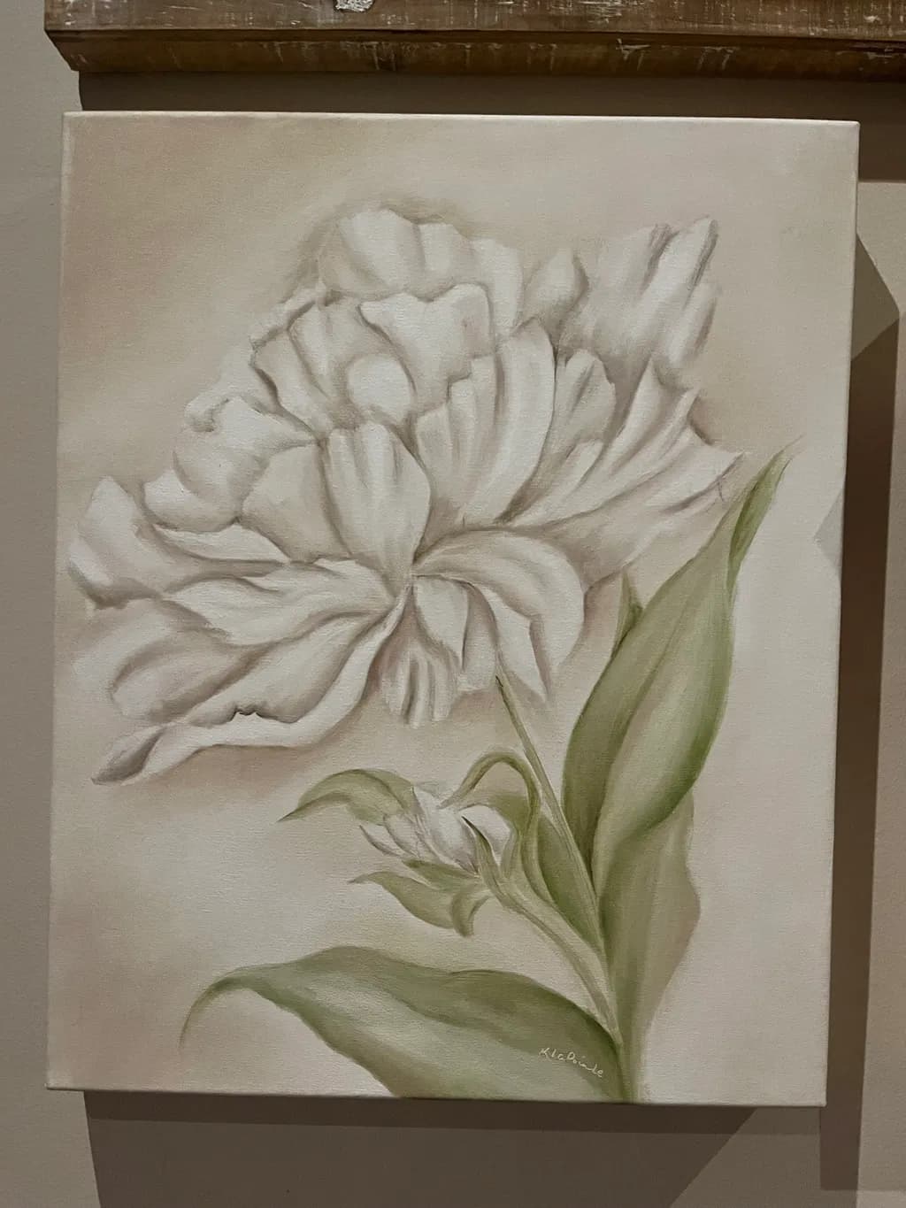 White Peony Bloom