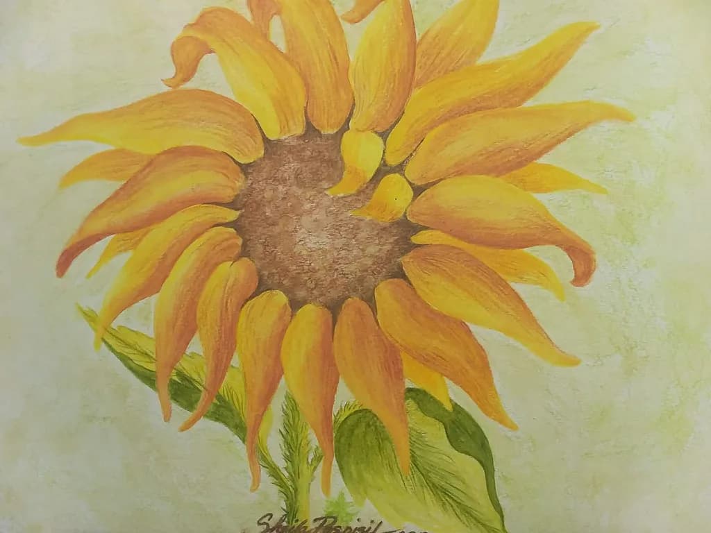 Sunflower Bloom
