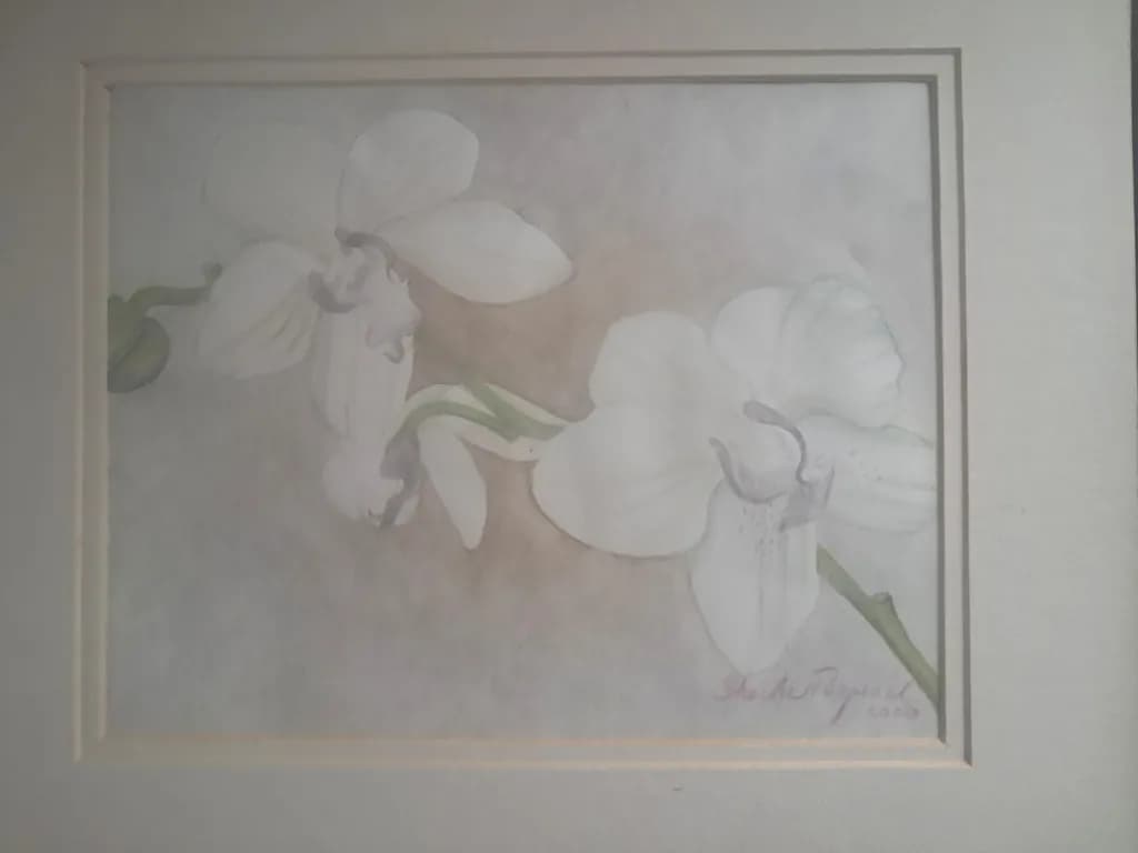Orchid Blossom
