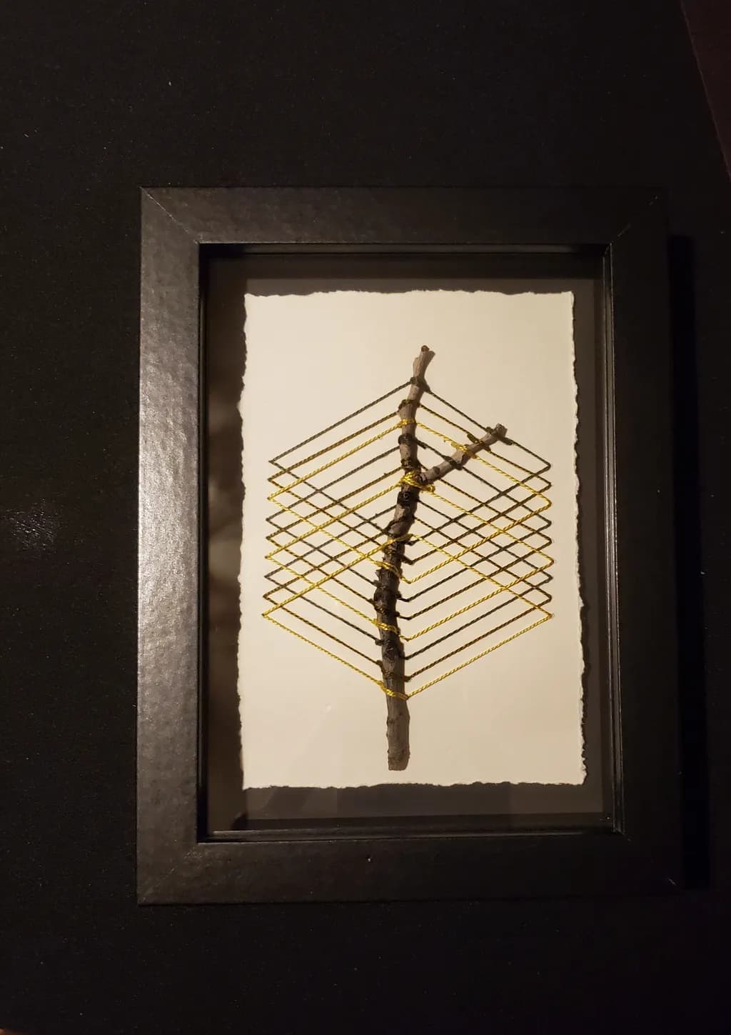 Branch Geometry