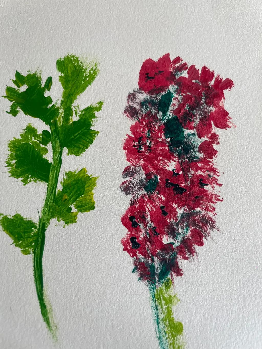 Crimson Bloom Study