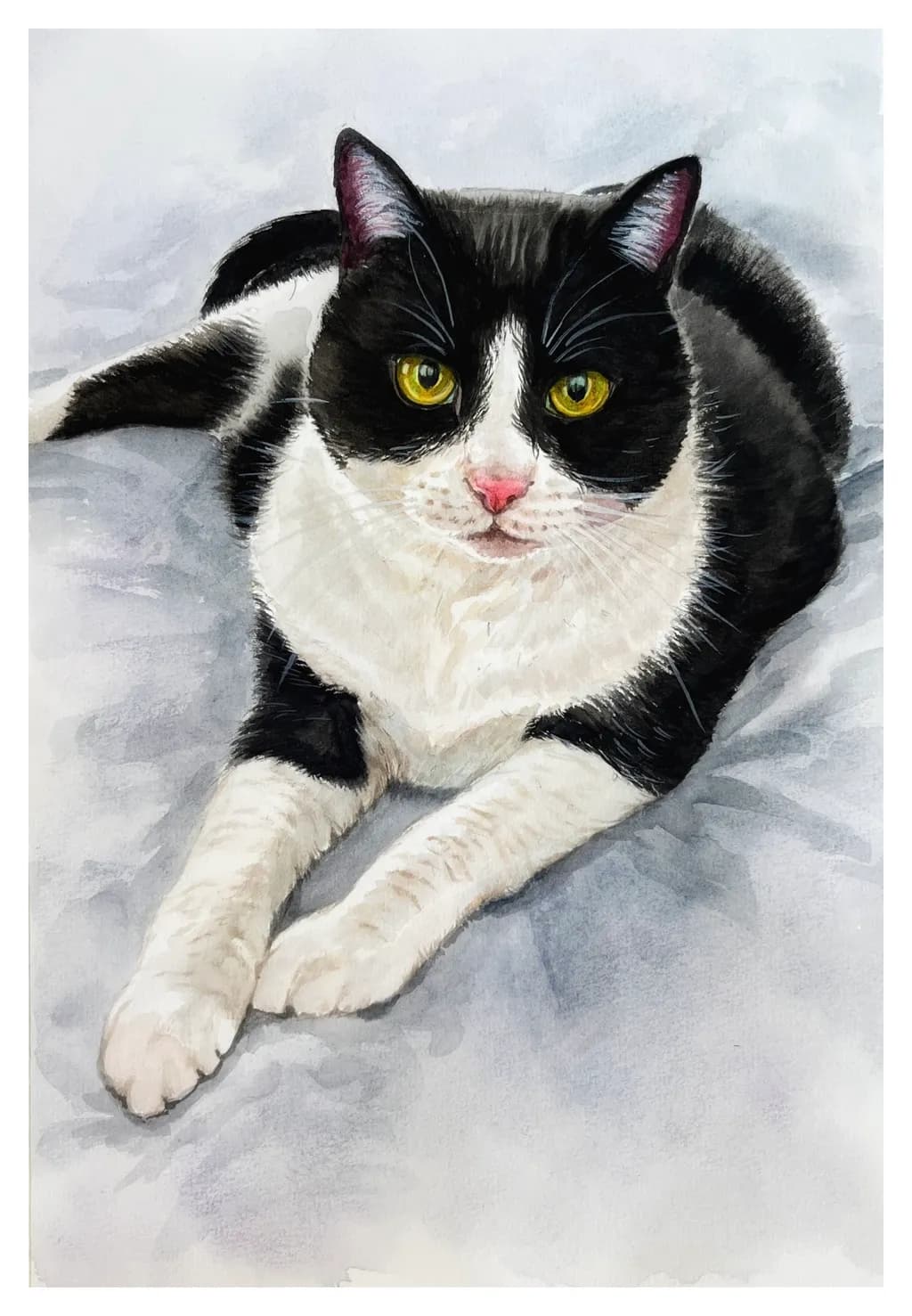 Black and White Cat