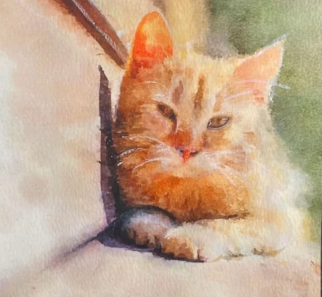 Sunlit Cat Resting