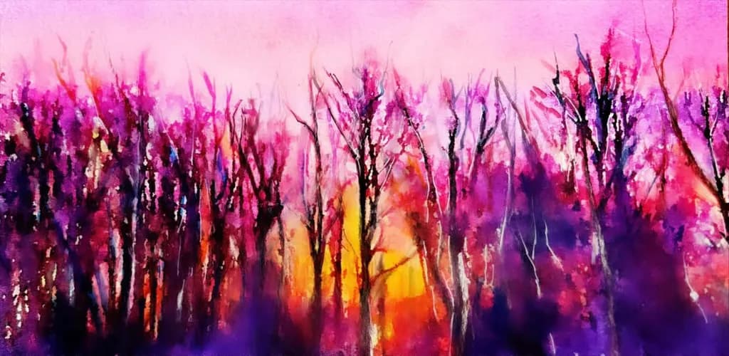 Sunset Forest Glow
