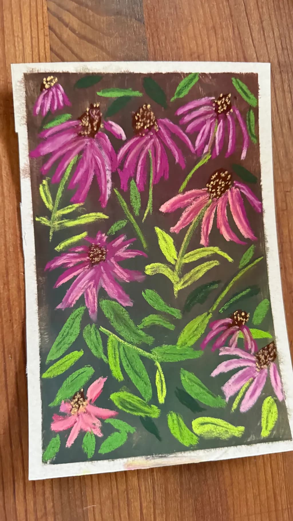 Purple Coneflower Garden