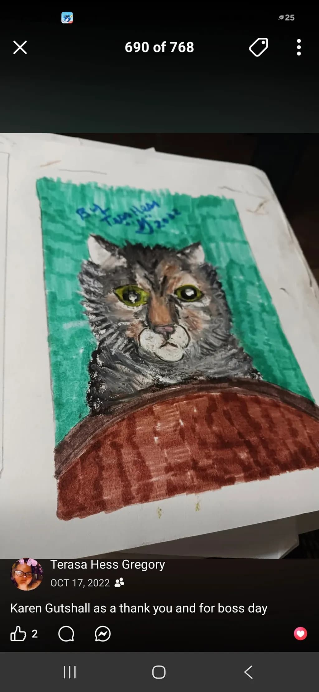 Cat Portrait on Green Background