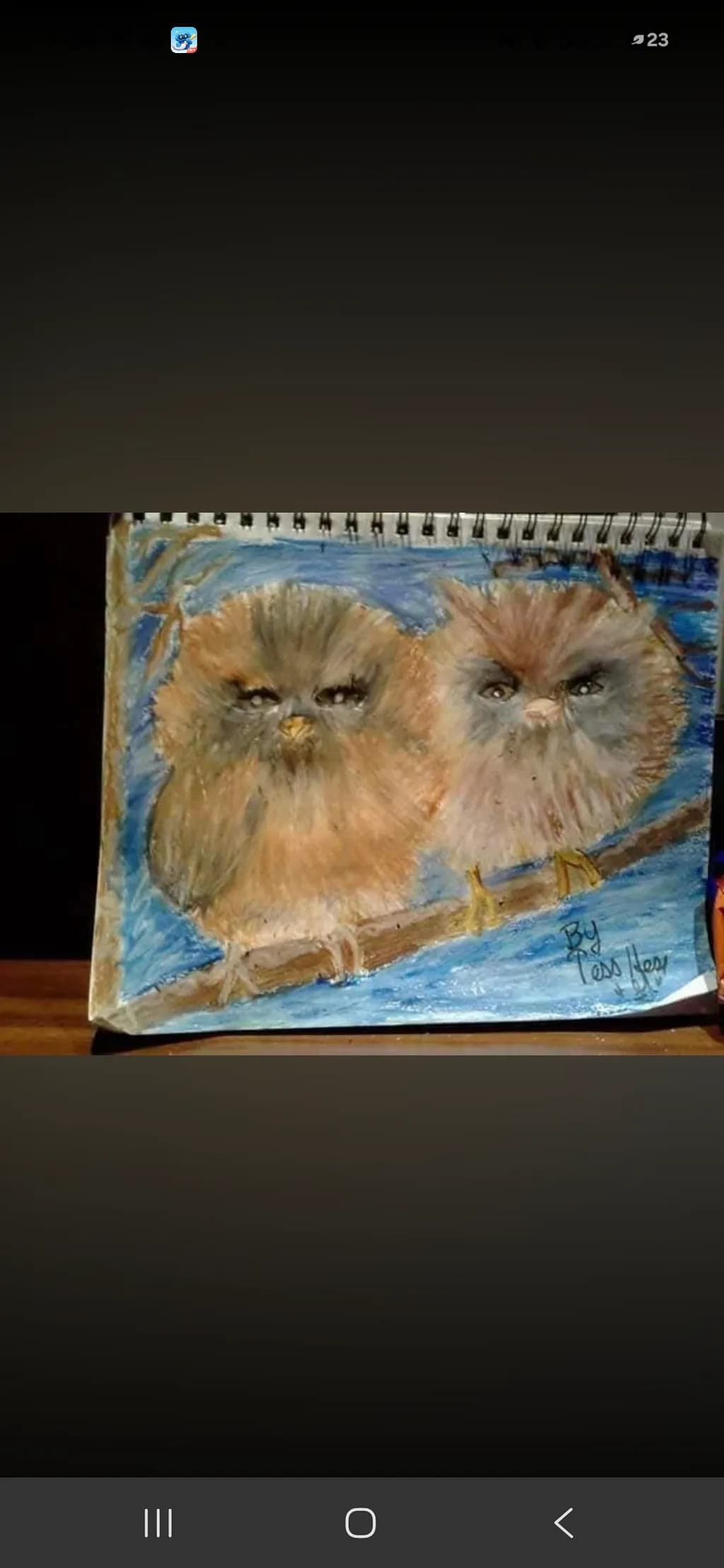 Owls on Branch
