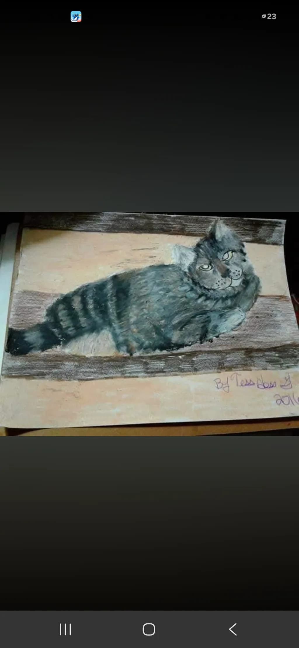 Resting Cat Drawing