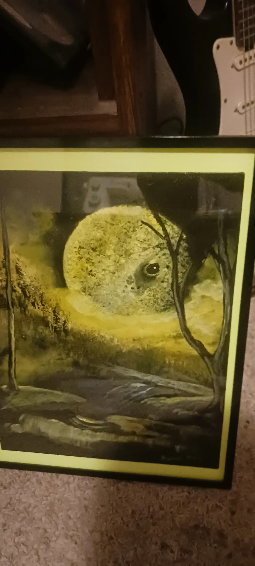 Frog Among Rocks