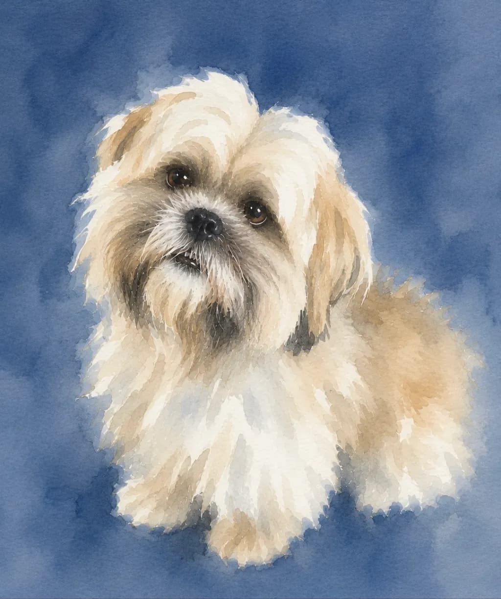 Shih Tzu Portrait