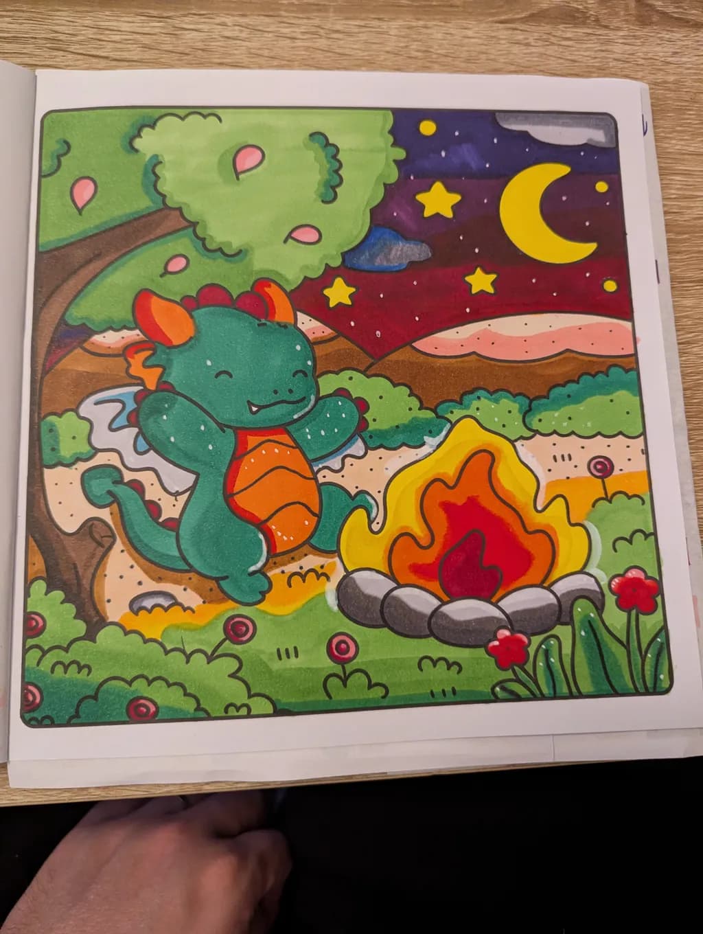 Dragon Campfire Night