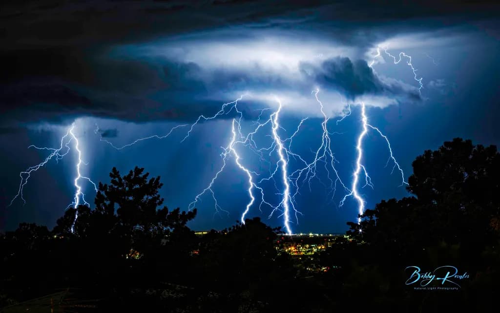 Lightning Storm Over Trees
