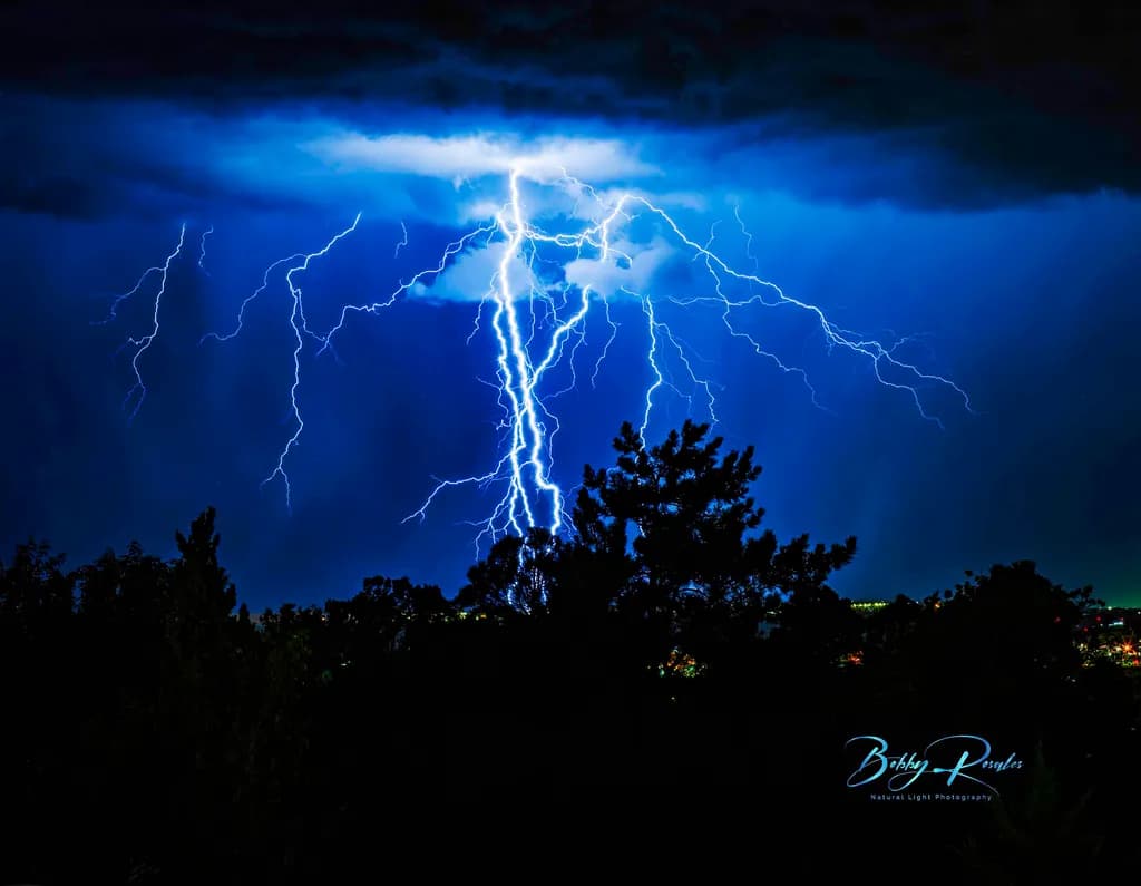 Lightning Over Forest