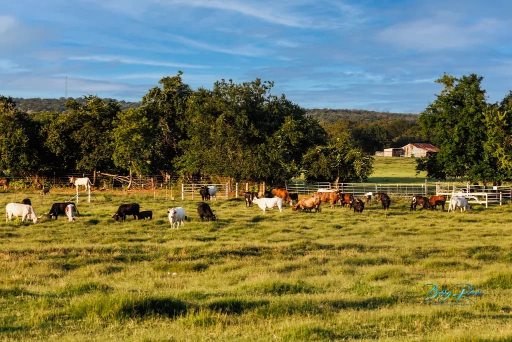 Pasture Gathering