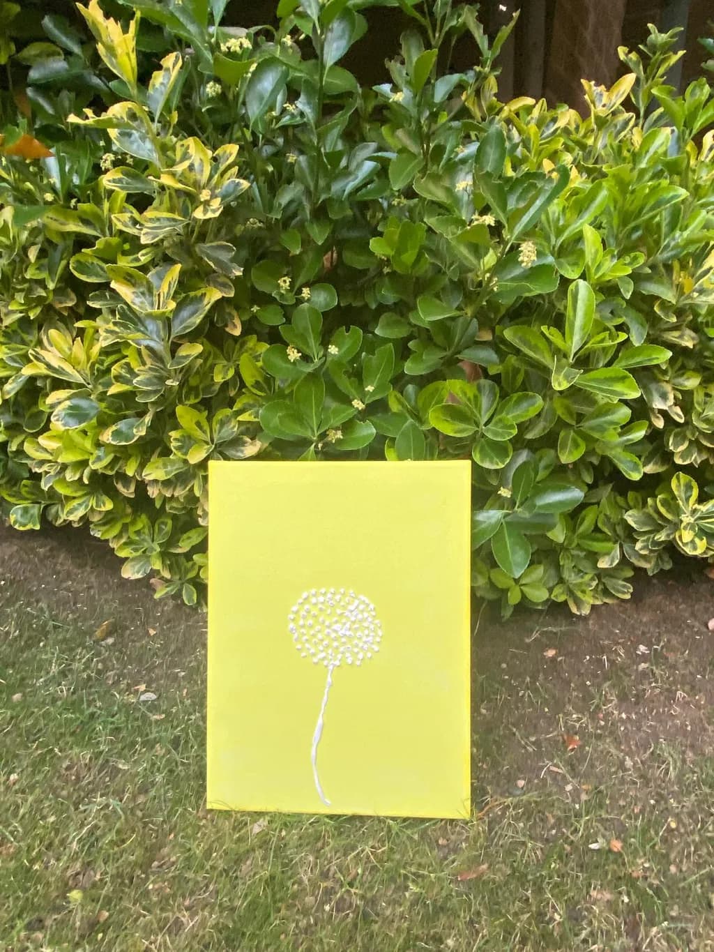 Dandelion Glow