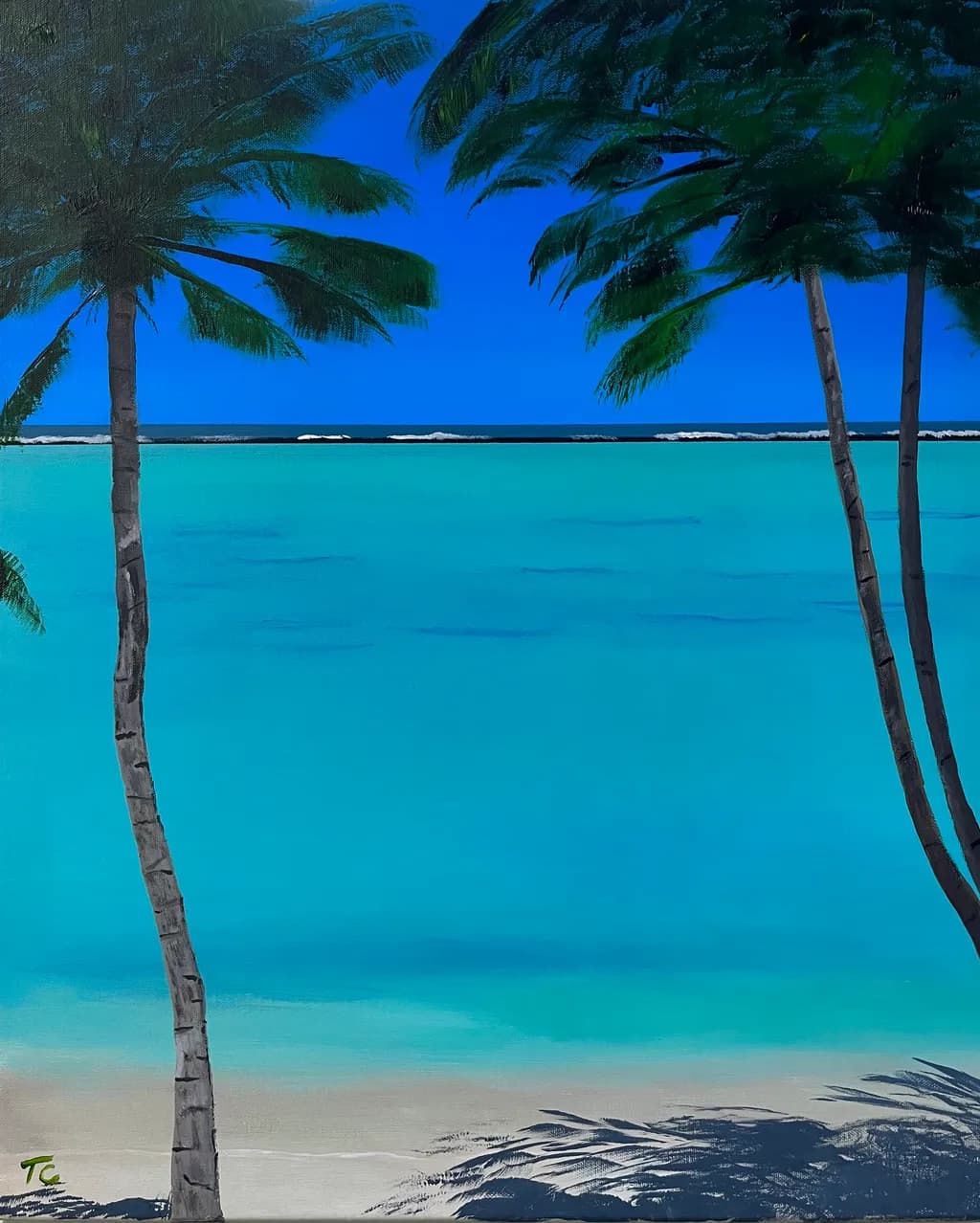 Tropical Shoreline