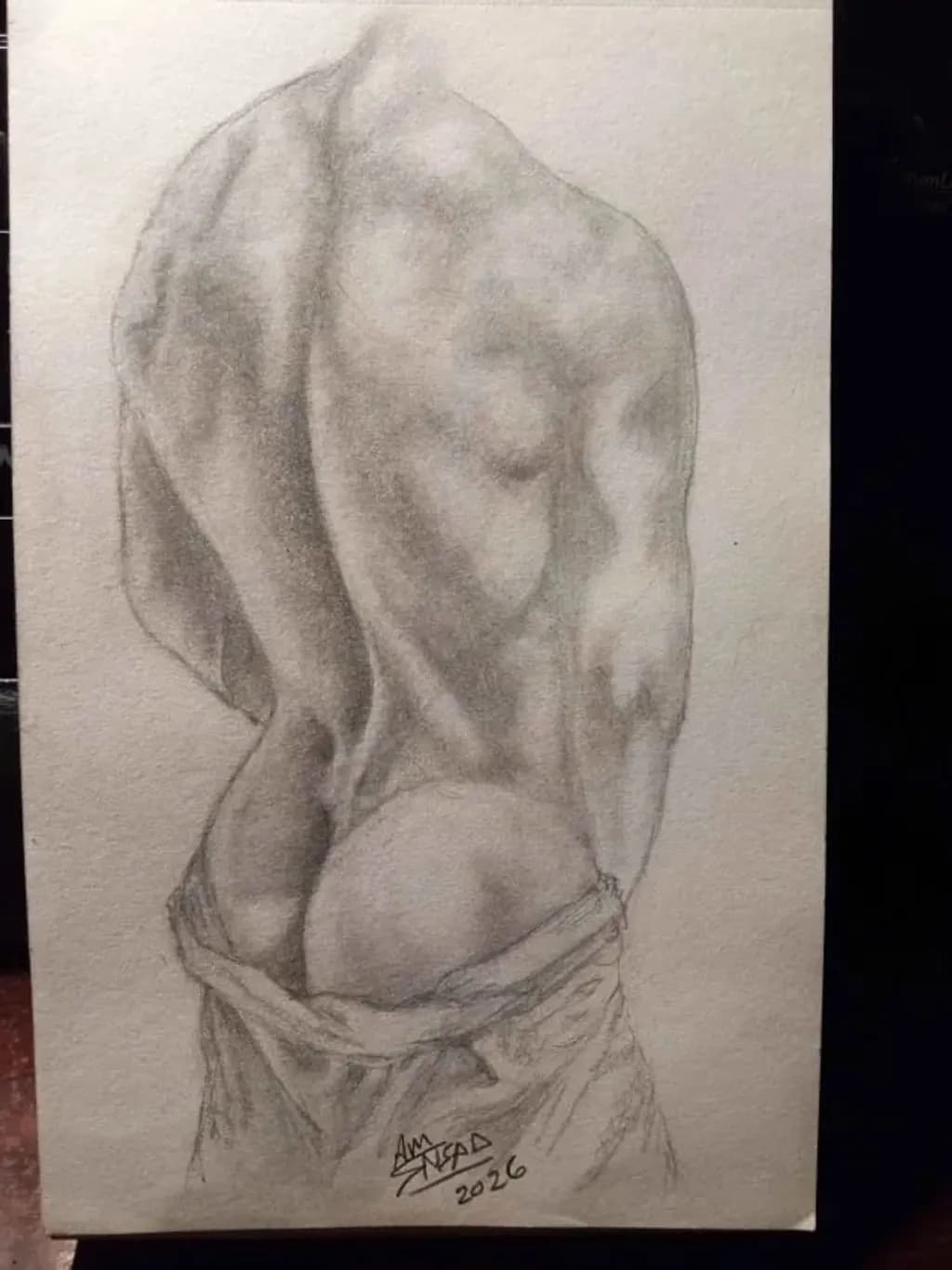 Male Back Study