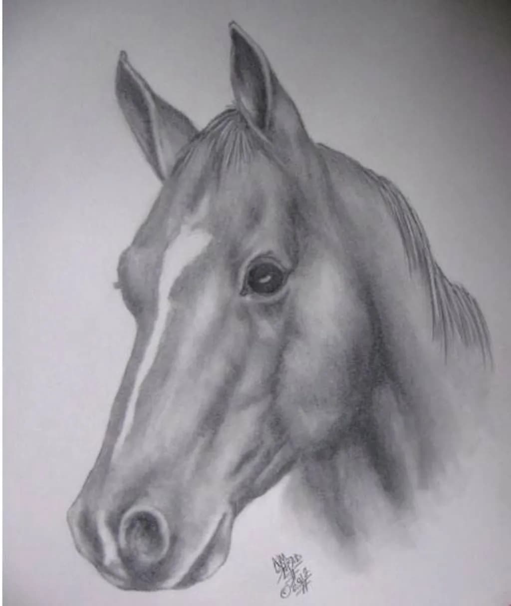 Horse Portrait