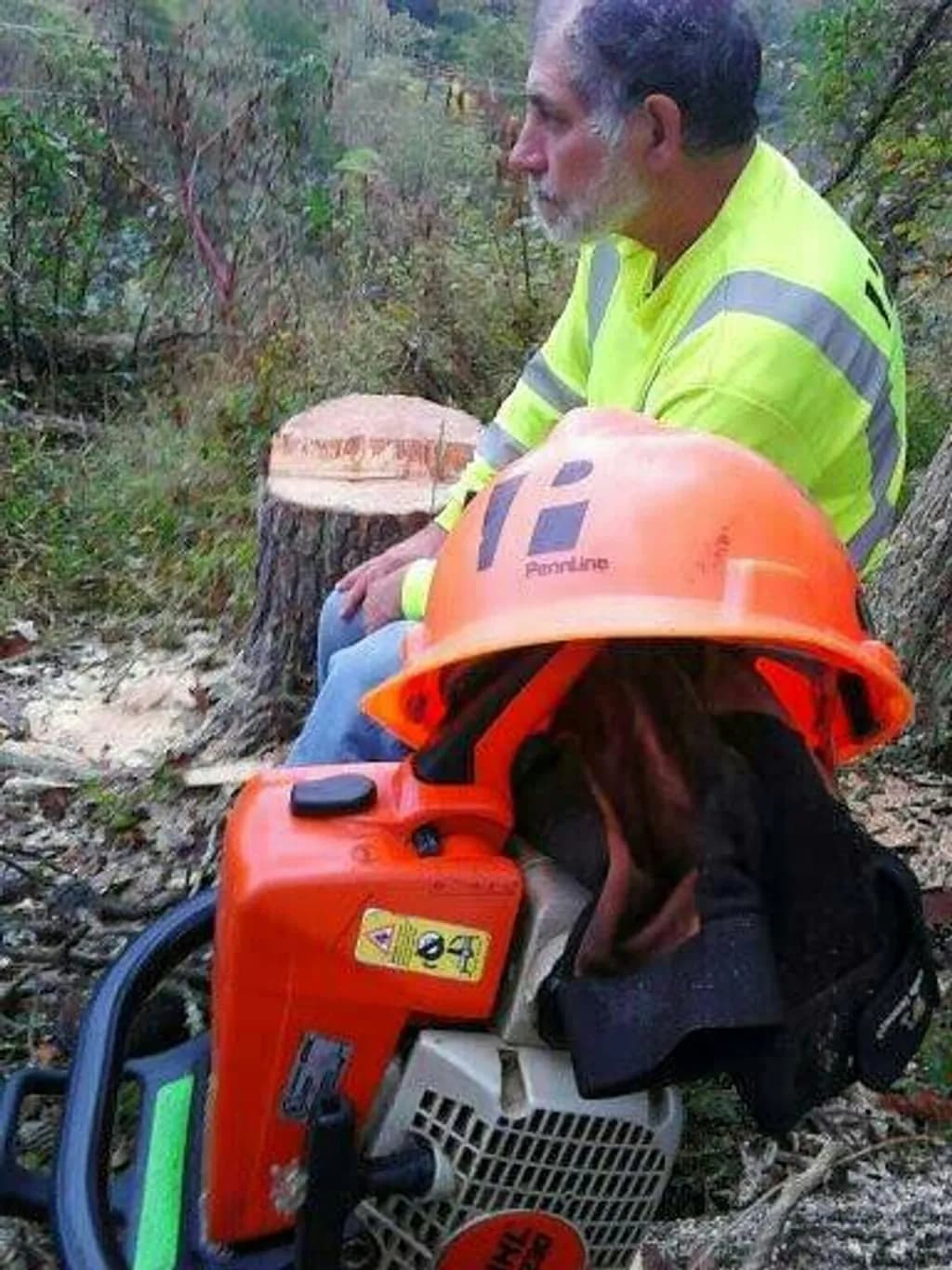 Forest Worker Safety