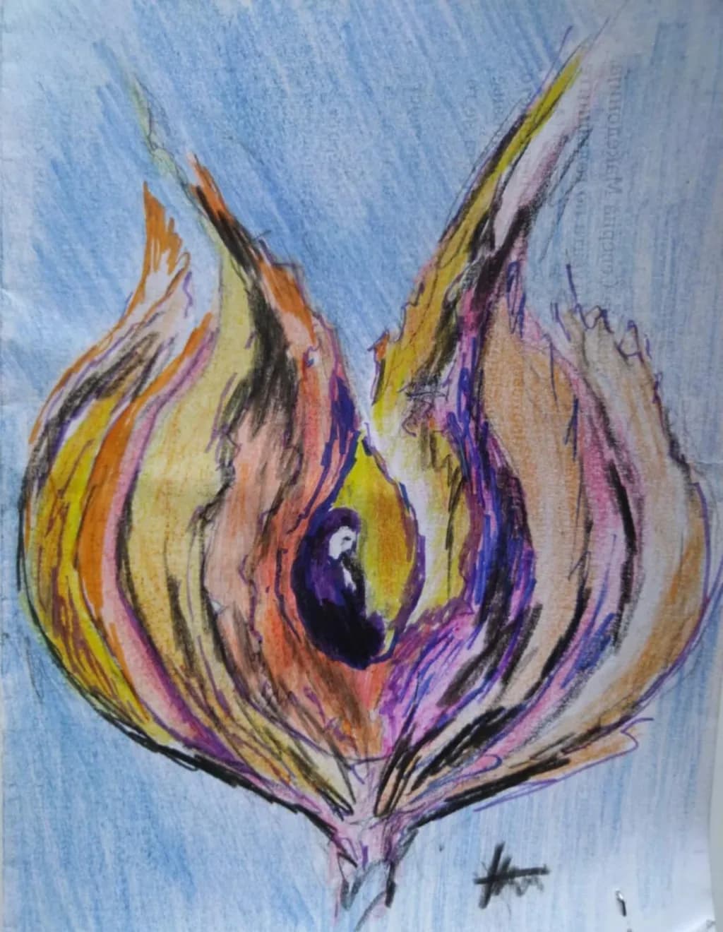 Abstract Flame Shape