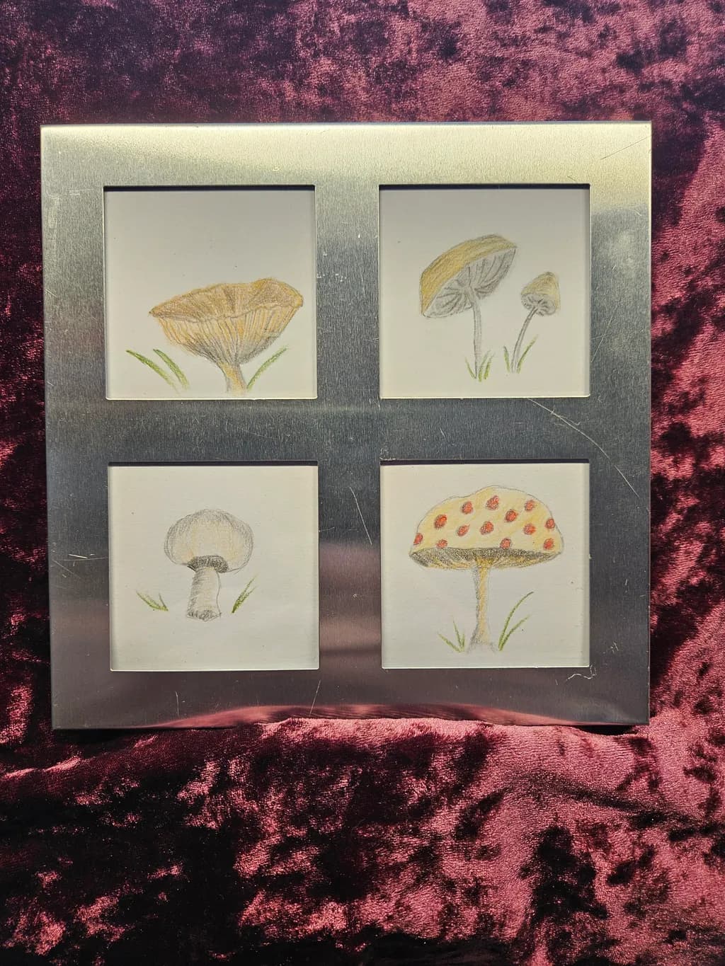 Mushroom Quartet