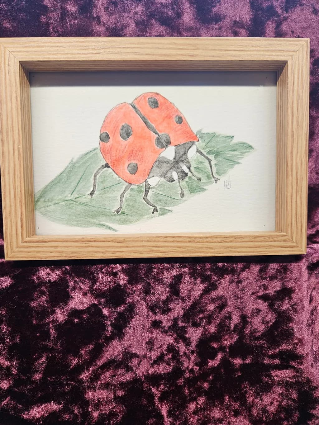 Ladybug on Leaf