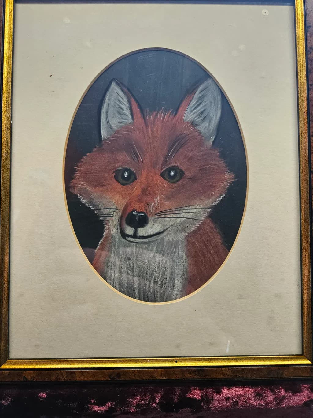 Fox Portrait