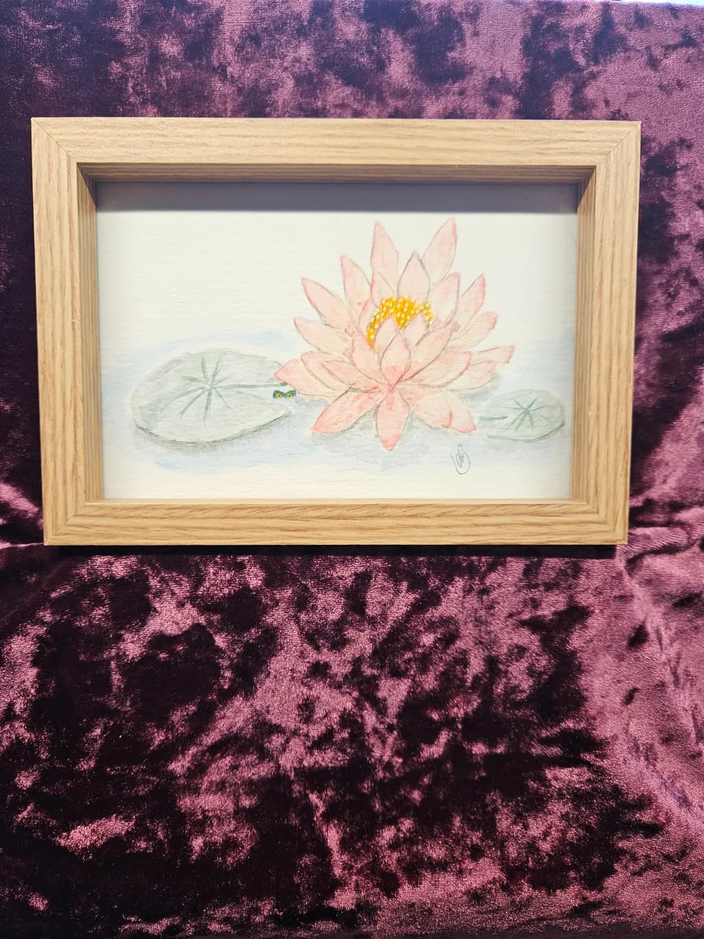 Water Lily Bloom